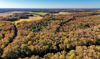 22240 GOOD FLOCKING Way, Frankford, DE 19945