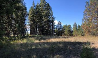 1909 Gold Dust Rd 60, Cascade, ID 83611
