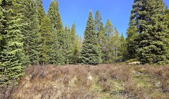 PCS # 7765 & 12057 Rollies Trail lot 0, Alma, CO 80420
