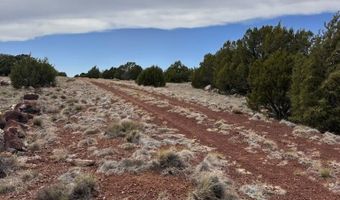 38 CR 8250, Concho, AZ 85924