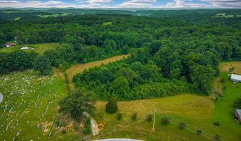 15 Acres Willow Grove Hwy, Allons, TN 38541