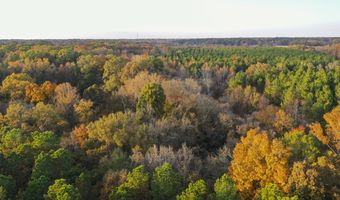 415 Rose Hill Rd, Bentonia, MS 39040