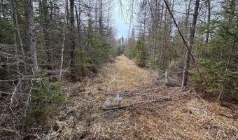 5280 Cathro Rd, Alpena, MI 49707