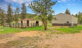 64 Elk Horn Ct, Bailey, CO 80421
