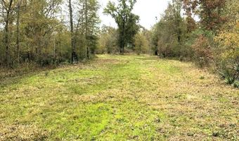 1071 LR 3, Ashdown, AR 71822