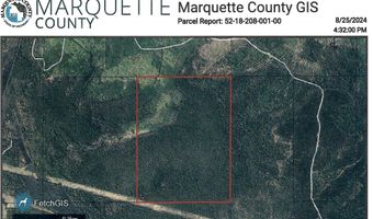 Co Rd SY, Arnold, MI 49819