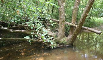 TBA BETTYS BRANCH RD X, Arvonia, VA 23004