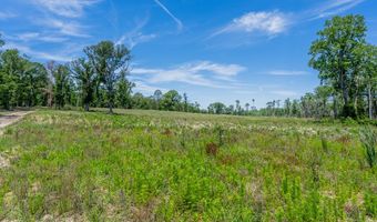Chad Lake Rd, Alma, GA 31510