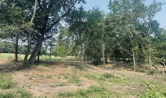 Lot 6 TBD County Road 1560, Alba, TX 75410