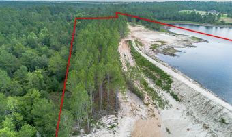 0 Piney Blf, Baxley, GA 31513