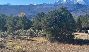 539 Sunrise Ln, Carbondale, CO 81623