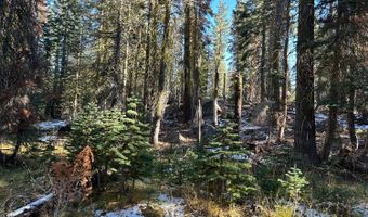 550 Cabbage Patch Log Rd, South Lake Tahoe, CA 95223