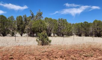 Ranch And Cattle lot 13, Ash Fork, AZ 86320
