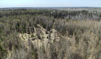 5280 Cathro Rd, Alpena, MI 49707