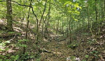 65 Acres Plainview Rd, Anderson, MO 64831