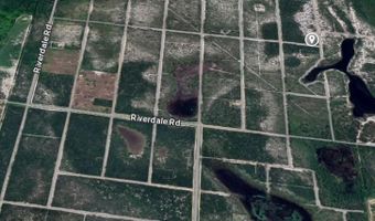 C-04-34-29-010-0000-8720 Drive, Avon Park, FL 33825