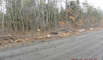 TBD Ole Farnham Road, Alfred, ME 04002