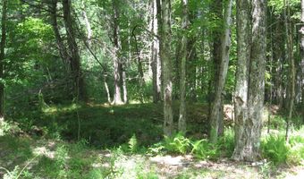 1260 Valentine Pond Rd, Adirondack, NY 12808