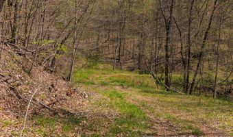 Tbd9999 Wentworth School Road, Beattyville, KY 41311