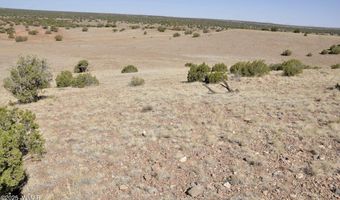 14 CR 5525, Concho, AZ 85924