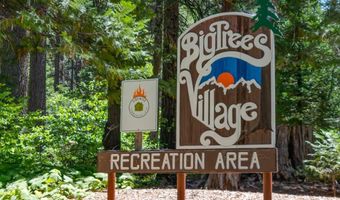 403 Sierra Pkwy, Camp Connell, CA 95223