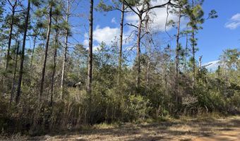 Grand Mesa Avenue, Alford, FL 32420