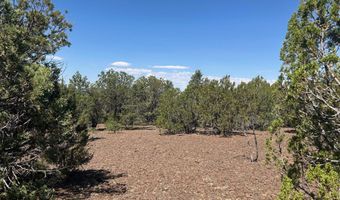 Lot 11 Uphill Trail 11, Vernon, AZ 85940