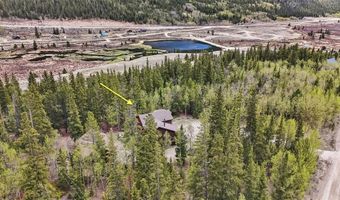 366 Quartzville Rd, Alma, CO 80420