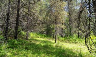 Nna Moyie River Rd, Bonners Ferry, ID 83805