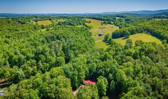 1285 Frank Roberts Rd, Afton, TN 37616