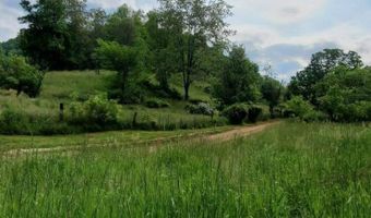 179 Cow Ln, Arnoldsburg, WV 25234