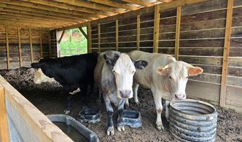 21804 US Hwy 19, Andrews, NC 28901