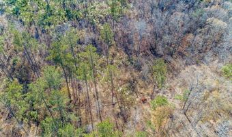 1374 E HIGHWAY 280 Lot 1374, Alexander City, AL 35010