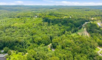 3561 Yonah Homer Rd, Alto, GA 30510