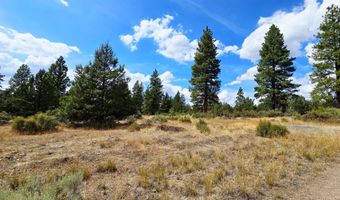 Swan Drive 16 & 17, Bonanza, OR 97623