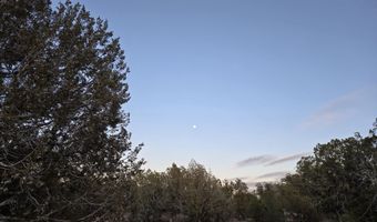 376 D Haywire, Ash Fork, AZ 86320