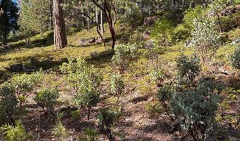 1984 Pine Cone Dr, Arnold, CA 95223