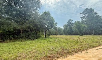 McPherson Drive, Alford, FL 32420