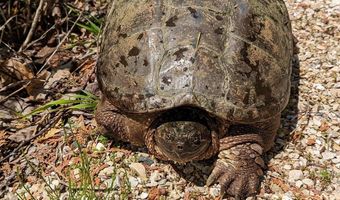 N5978 W ALASKA LAKE Road, Algoma, WI 54201