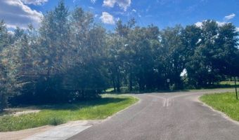 4899 36th St, Bell, FL 32619