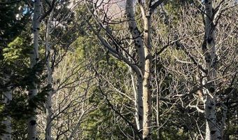 399 N Skinner Rd, Allenspark, CO 80510