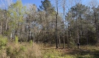 1404 SW Gene Rd, Bogue Chitto, MS 39629