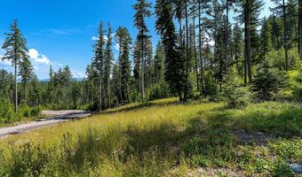 246 Trading Post Trl, Bigfork, MT 59911