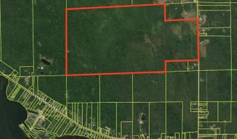 5280 Cathro Rd, Alpena, MI 49707