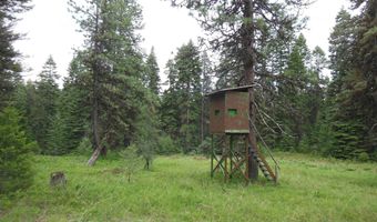 3695 W Mountain Rd, Anatone, WA 99401