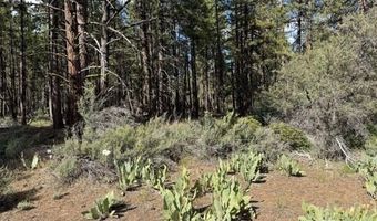 Thunder Bear Road, Bonanza, OR 97623