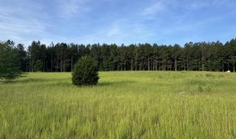 415 Arthur Grimaud Way, Appling, GA 30802