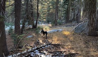 550 Cabbage Patch Log Rd, South Lake Tahoe, CA 95223