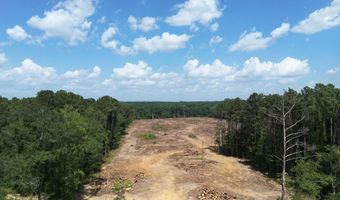 SE Cole Drive, Bogue Chitto, MS 39629