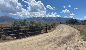 80 21 Acres A, Lamoille, NV 89828